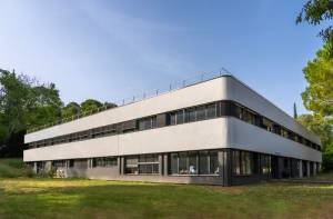 Charly CARDUNER - Visual Light